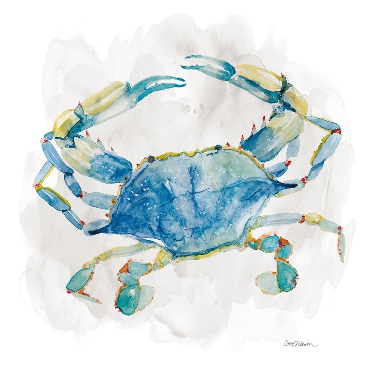 Picture of CRAB