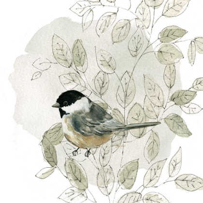 Picture of BOTANICAL SKETCHBOOK BIRD II