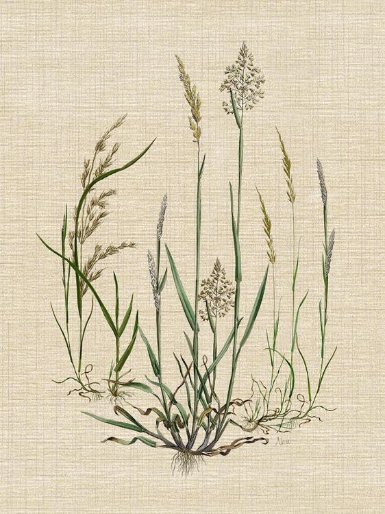 Picture of LINEN GRASSES I