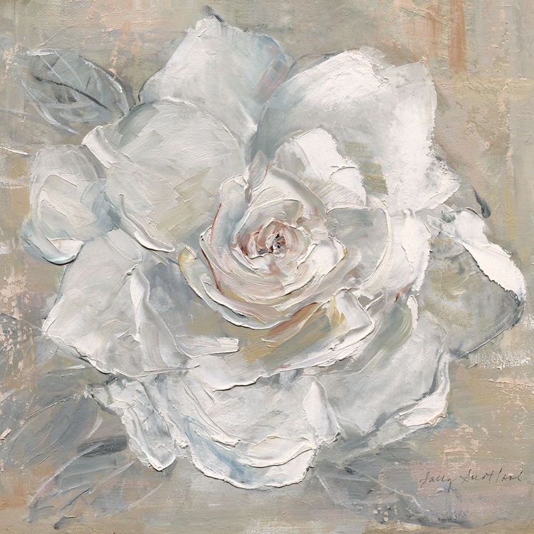 Picture of GARDENIA BLUSH