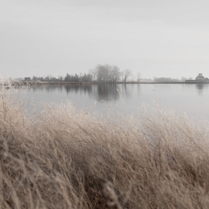 Picture of DISTANT FARM