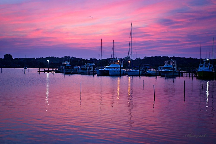 Picture of HARBOR SUNRISE