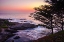 Picture of SUNSET ON CARMEL BAY II