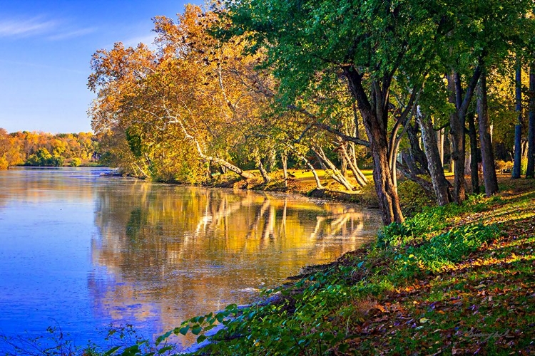 Picture of REFLECTIONS OF AUTUMN