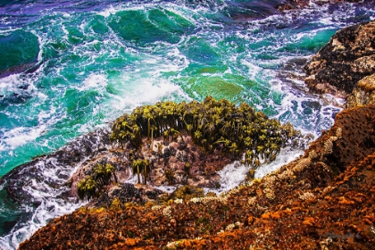 Picture of POINT LOBOS COASTLINE