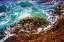 Picture of POINT LOBOS COASTLINE