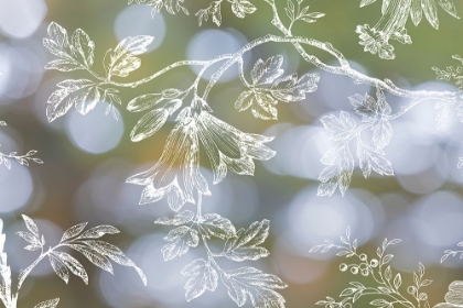 Picture of FLORAL BOKEH IV