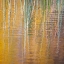 Picture of FALL REFLECTIONS III