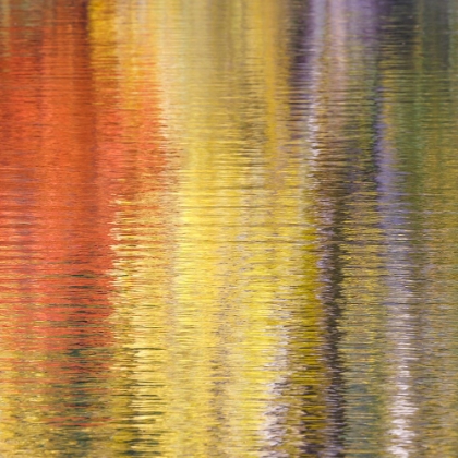 Picture of FALL REFLECTIONS IV