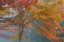 Picture of OAK TREES IN FALL I