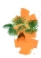 Picture of PALM 2