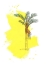 Picture of PALM 1