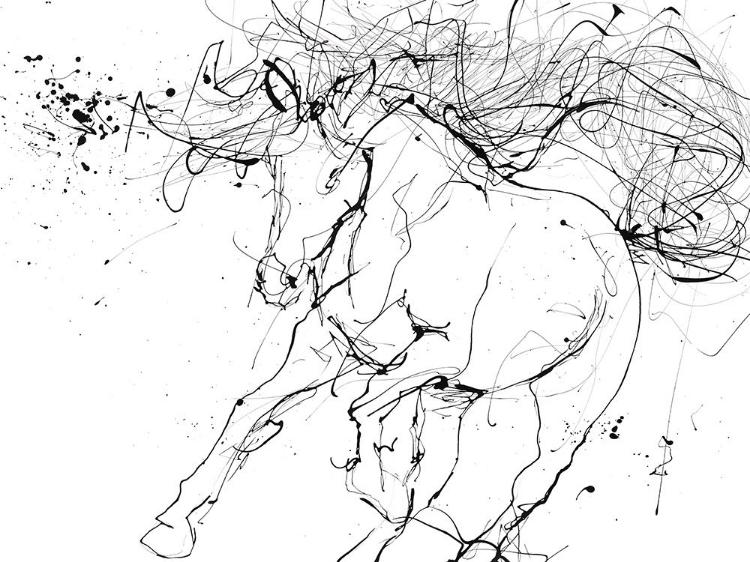 Picture of HORSE CONTOUR 2