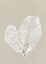 Picture of SEA FAN 4