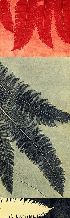 Picture of INDIGO FERN WITH RED