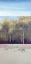 Picture of IMPERMANENCE OF EACH SPRING
