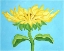 Picture of SUNFLOWER ON BLUE