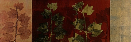 Picture of GRAPE LEAF 2