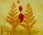 Picture of LEAF SPIRIT 6