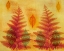 Picture of LEAF SPIRIT 8
