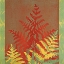 Picture of TROPICAL FERN 4