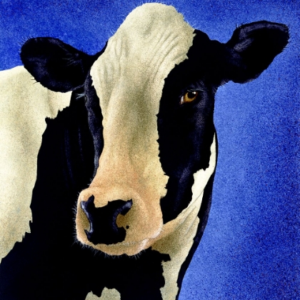 Picture of BLUE MOO MOO