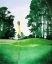Picture of GREENS PEEPER