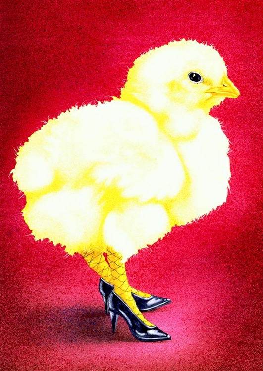 Picture of HOT CHICKS AND HIGH HEELS