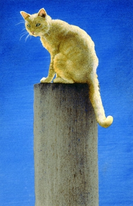 Picture of POLE CAT