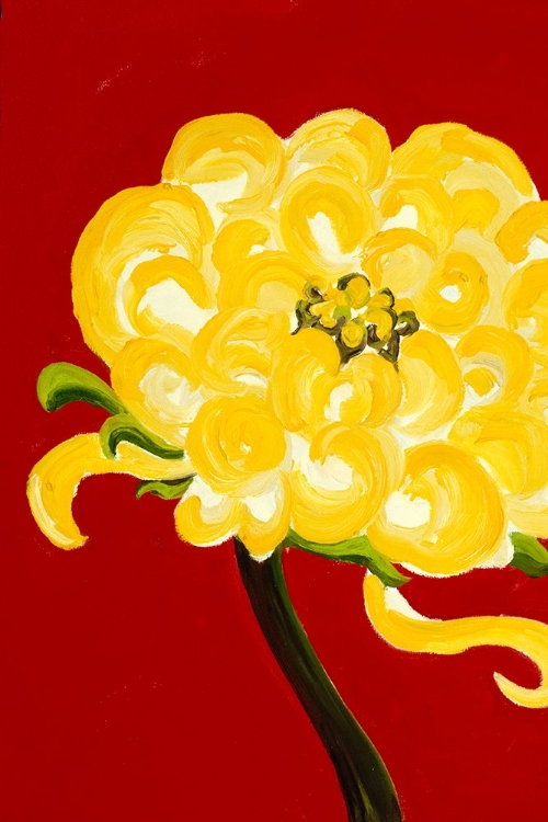 Picture of YELLOW CHRYSANTHEMUM