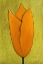 Picture of BLOOM #2