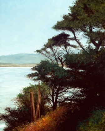 Picture of CARMEL BAY