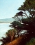 Picture of CARMEL BAY