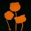 Picture of FIORE ARANCIONE