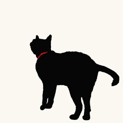 Picture of CAT WITH RED COLLAR