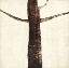 Picture of TALL 8