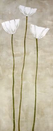 Picture of BLANCO ALTO