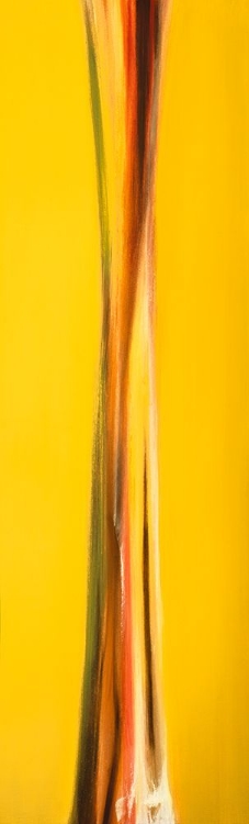 Picture of SYNCHRONIZE IV
