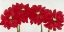 Picture of FOUR FLOWERS