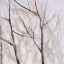Picture of BRANCHES OF A WISH TREE C
