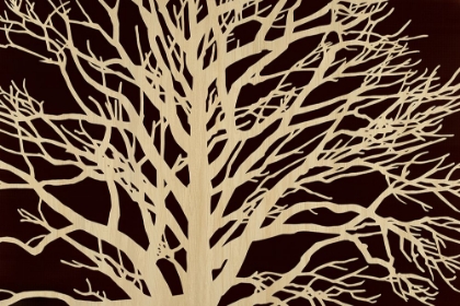 Picture of TREE IN SEPIA
