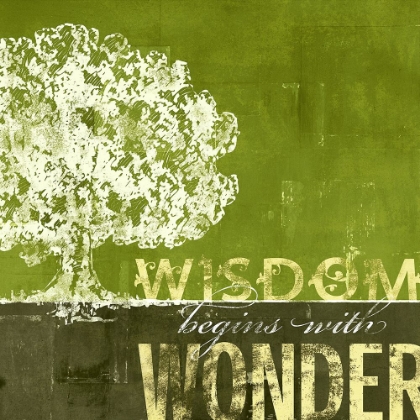 Picture of WISDOM BEGINS WITH WONDER