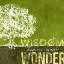 Picture of WISDOM BEGINS WITH WONDER