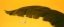 Picture of BANANA LEAF I