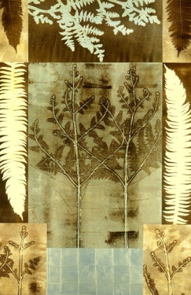 Picture of SEPIA FERN 2