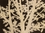 Picture of AUTUMN OAK