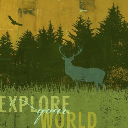 Picture of EXPLORE YOUR WORLD 1