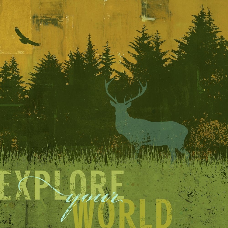 Picture of EXPLORE YOUR WORLD 1