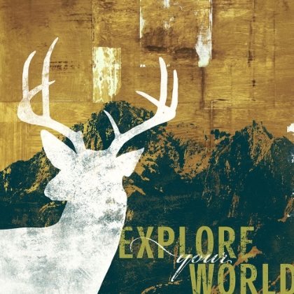 Picture of EXPLORE YOUR WORLD 4
