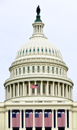 Picture of CAPITOL INAUGURATION